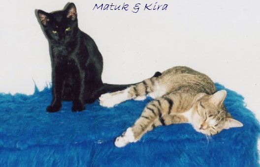 Matuk & Kira